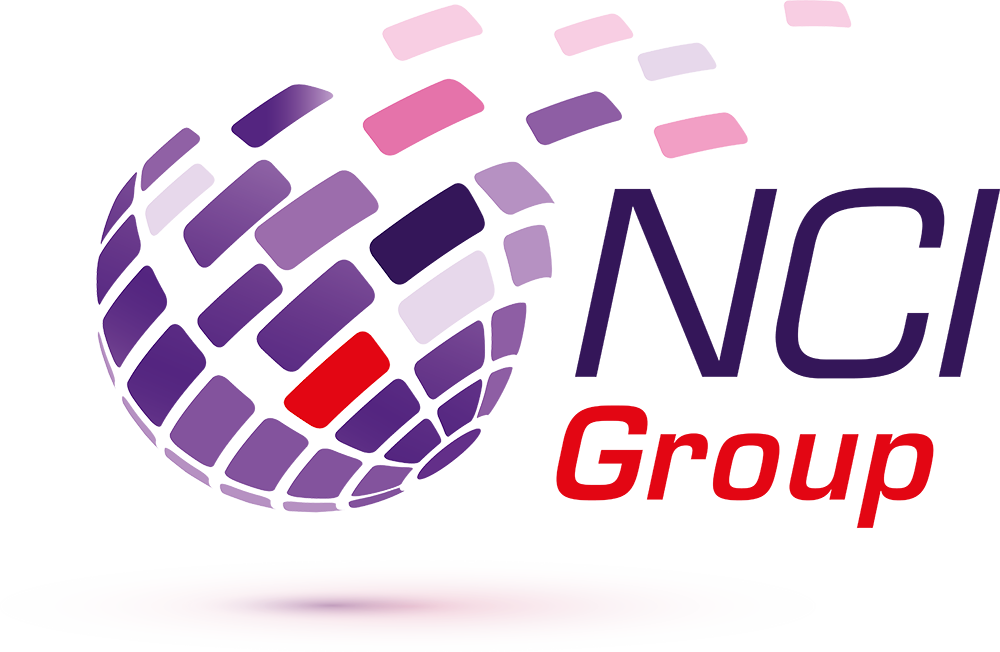 logo-net-consult